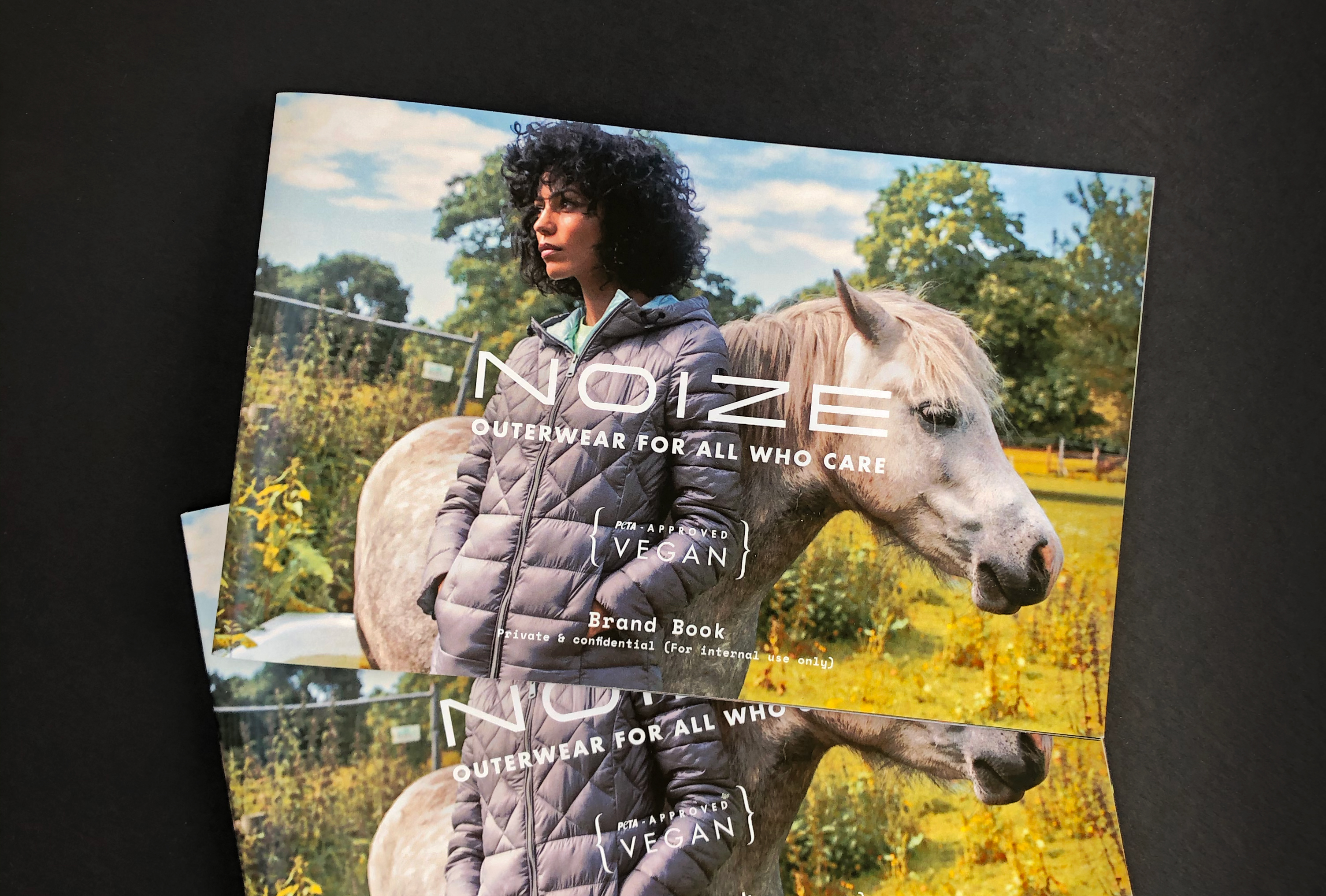 noize_brand_book_cover